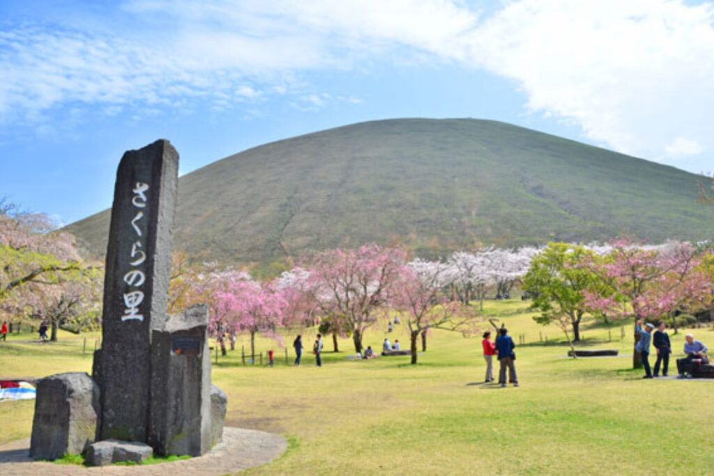 桜が咲くさくらの里と大室山